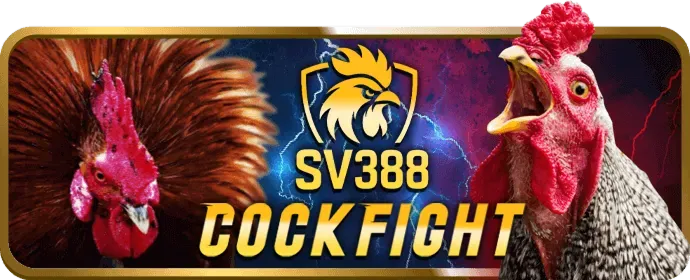 Tùy chọn tự loại trừ tại vff88 chính thức